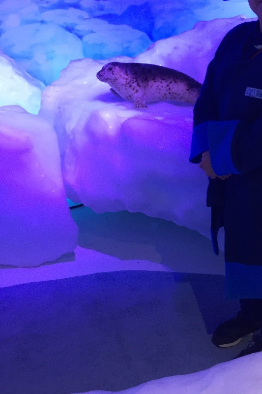 a0235452_17060775.jpeg