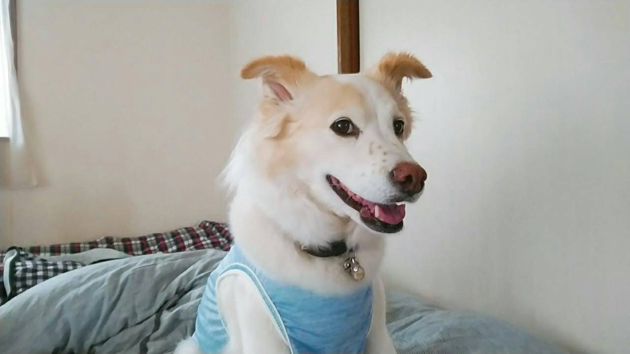 f0046854_23193990.jpg