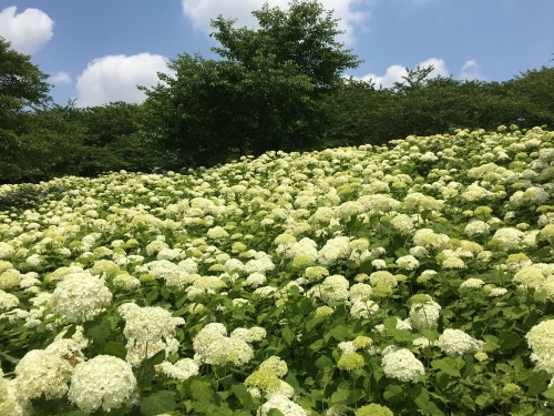 b0145863_12385944.jpeg