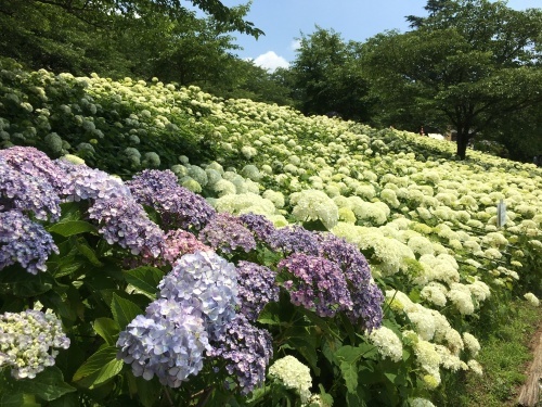 b0145863_12495043.jpeg