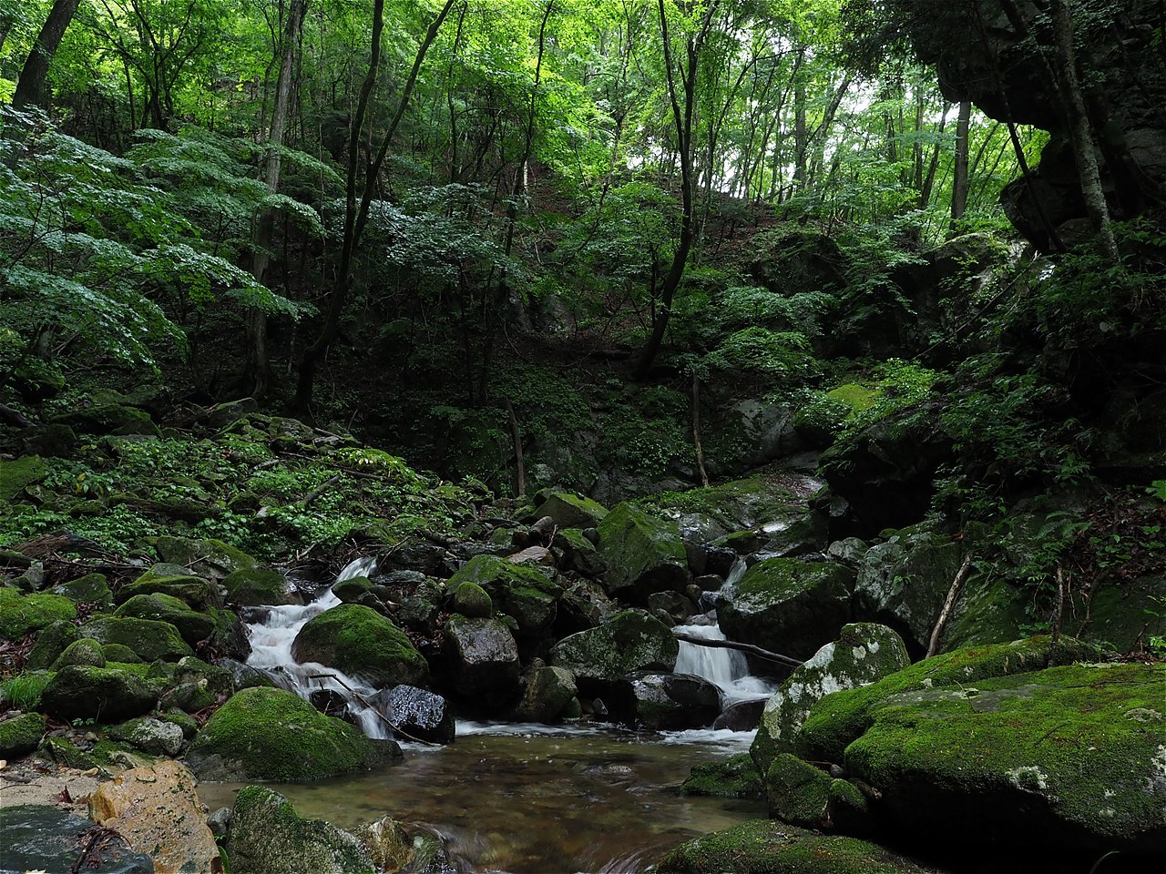 c0237264_16083316.jpg