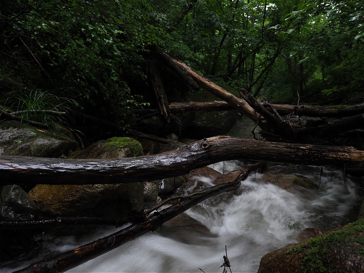 c0237264_16085741.jpg