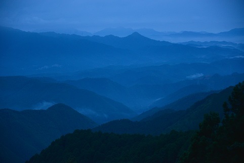 コアジサイの咲く森　　大天井ヶ岳_c0303868_03444140.jpg