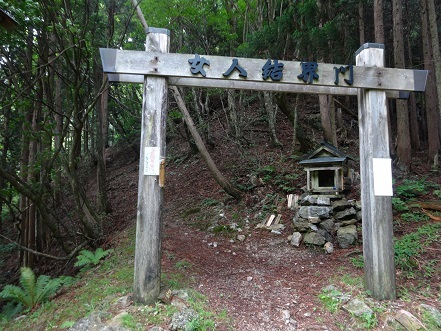 コアジサイの咲く森　　大天井ヶ岳_c0303868_03534118.jpg