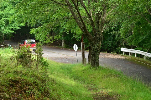 コアジサイの咲く森　　大天井ヶ岳_c0303868_03583387.jpg