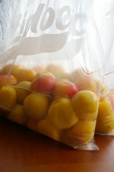 梅干しと塩麹と鰹佃煮_d0327373_09003501.jpg