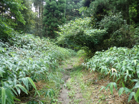 d0182075_15252429.jpg