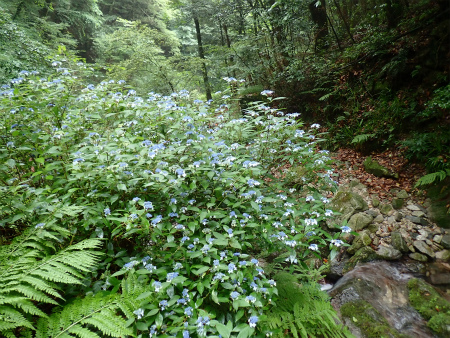 d0182075_15261272.jpg