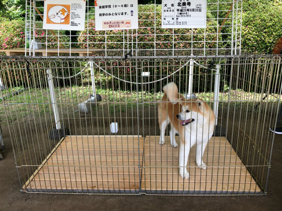 振り返ってみました②_e0355177_16212475.jpg