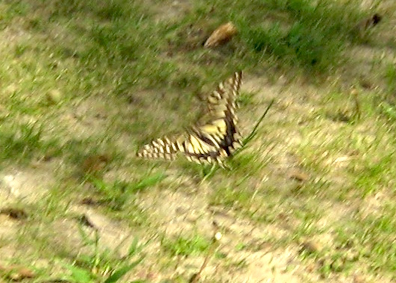 b0057679_09224222.jpg