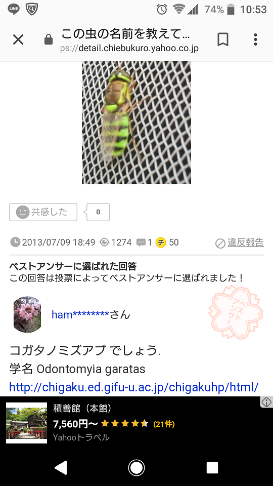 新種?_f0172281_6282749.png