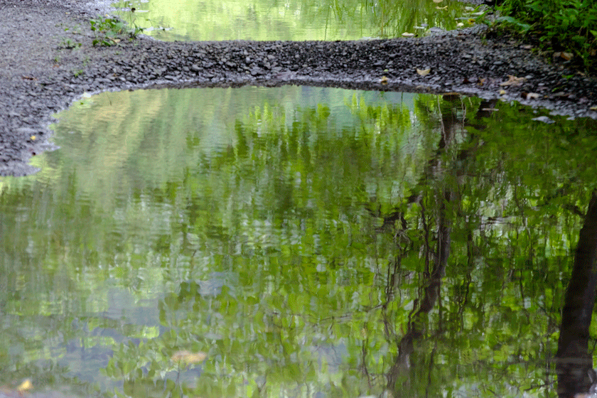 e0243382_05185760.gif