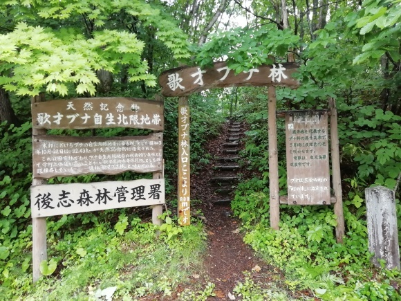 c0212083_17000684.jpg