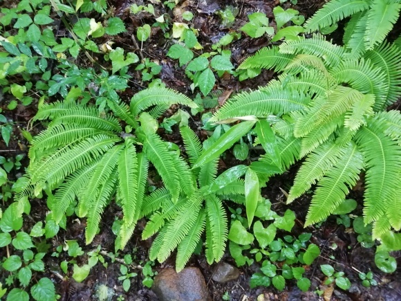 c0212083_17003786.jpg