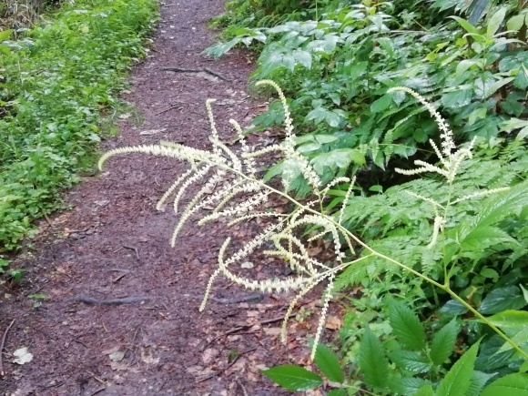 c0212083_17020535.jpg