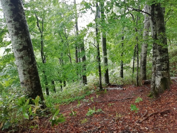 c0212083_17043150.jpg