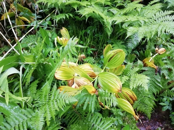 c0212083_17050153.jpg