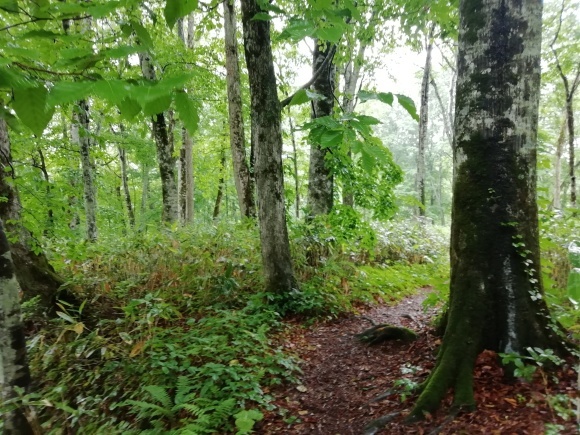 c0212083_17071677.jpg