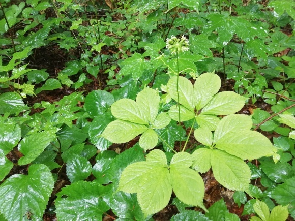 c0212083_17073991.jpg