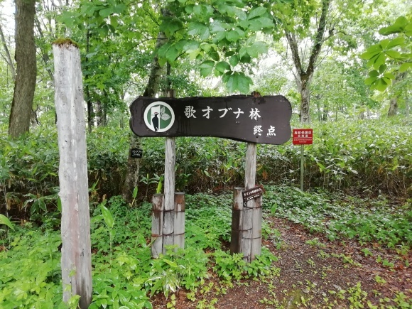 c0212083_17094399.jpg