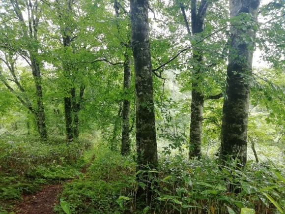 c0212083_17101031.jpg