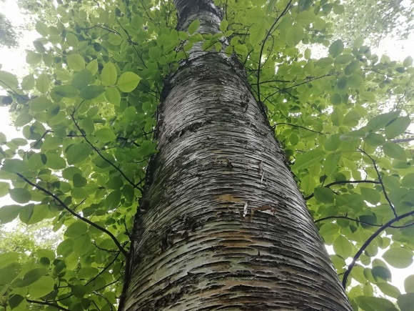 c0212083_17103136.jpg