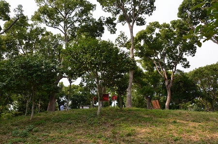 c0229483_23202844.jpg