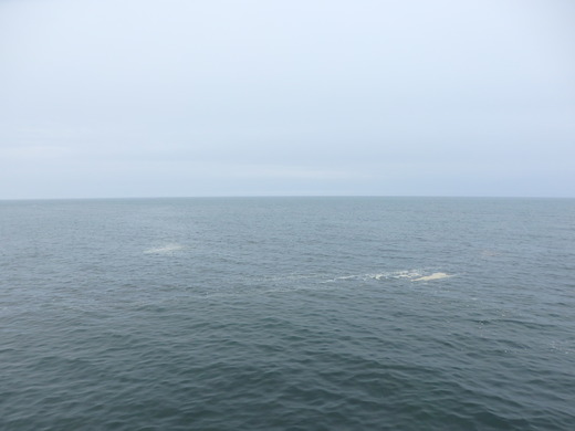 d0257690_1613430.jpg