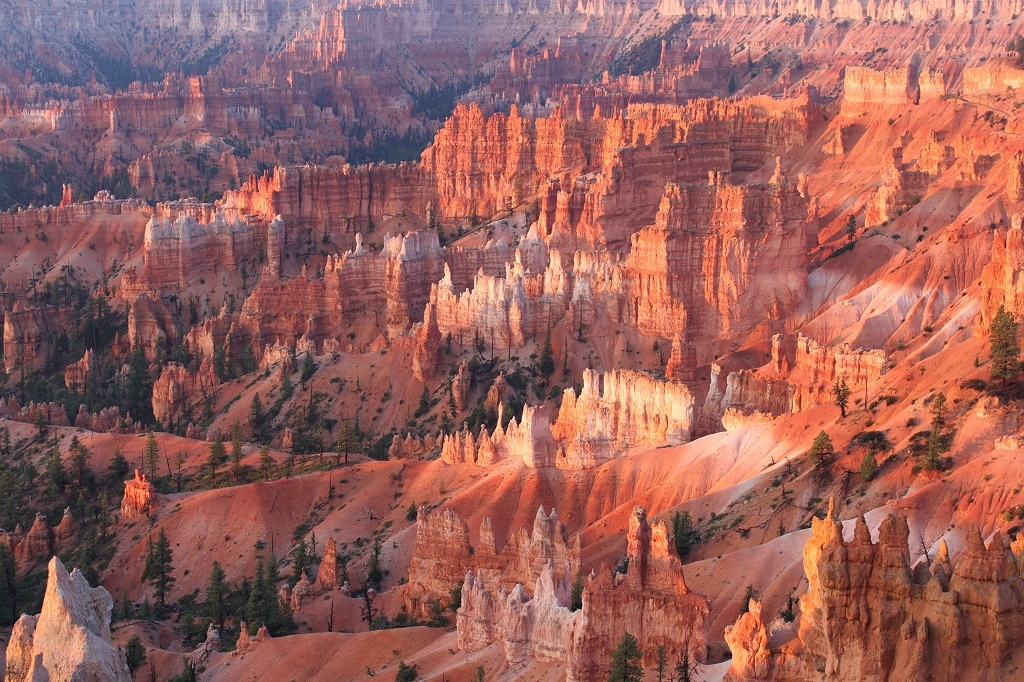 b0177792_16144425.jpg