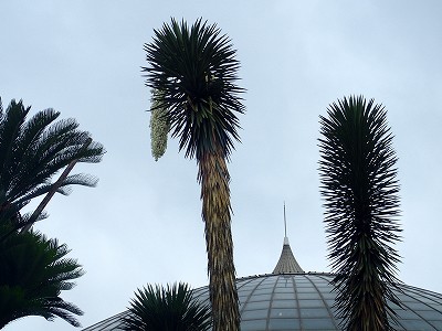 f0203094_13352702.jpg