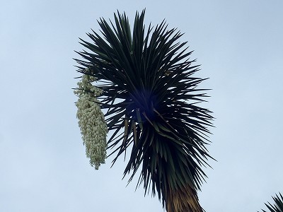 f0203094_13355544.jpg