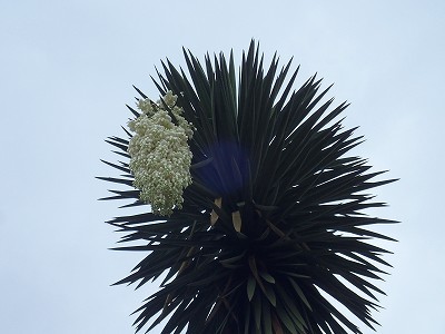 f0203094_13360266.jpg