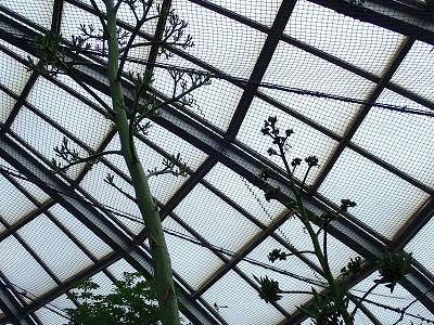 f0203094_14131191.jpg