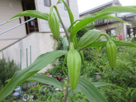 a0203003_08304808.jpg