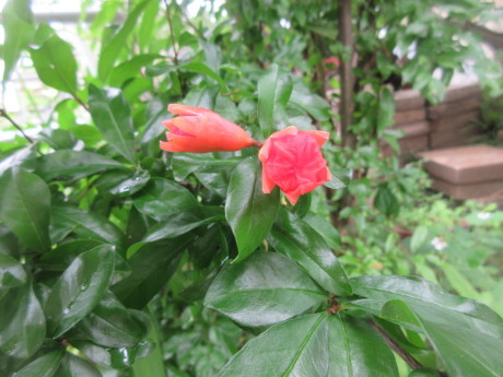a0203003_08314416.jpg