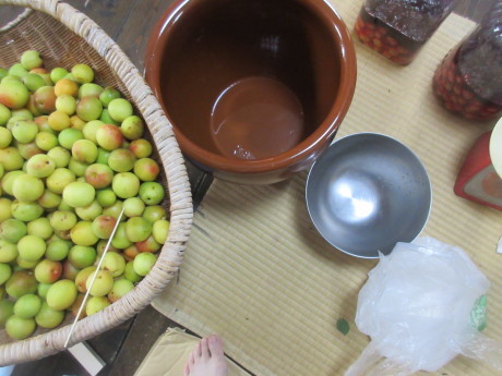 a0203003_21013857.jpg
