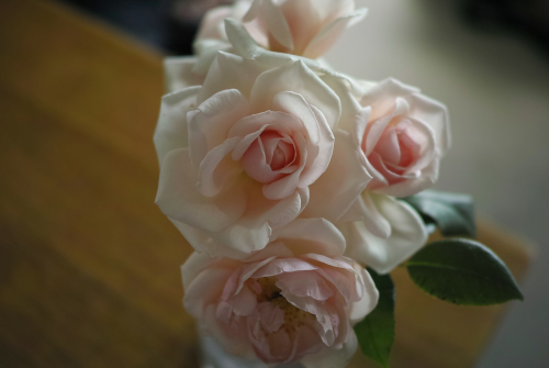c0334705_23423798.jpg