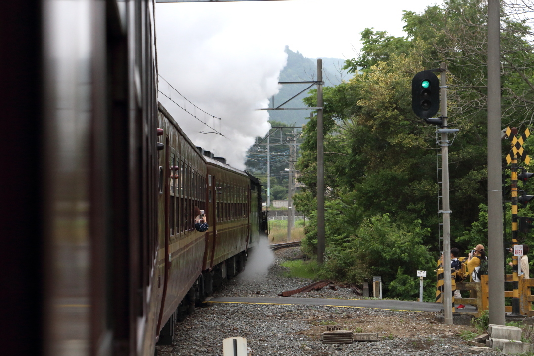 梅雨時の汽車 - 2019年梅雨・秩父 -_b0190710_21544558.jpg