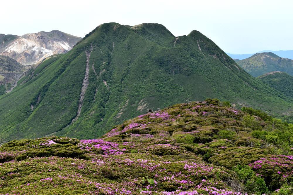 f0212511_20191129.jpg