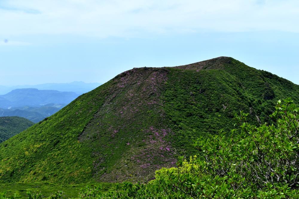 f0212511_20194287.jpg