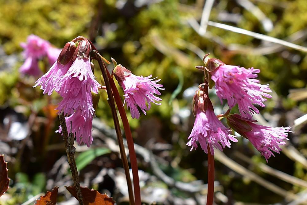 f0212511_20195736.jpg