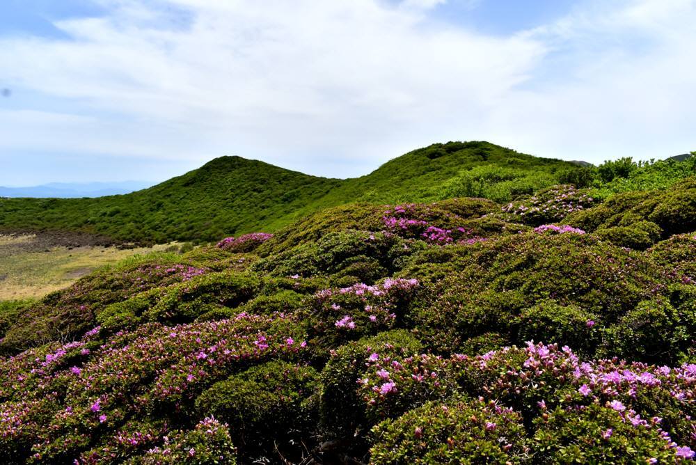 f0212511_20200448.jpg