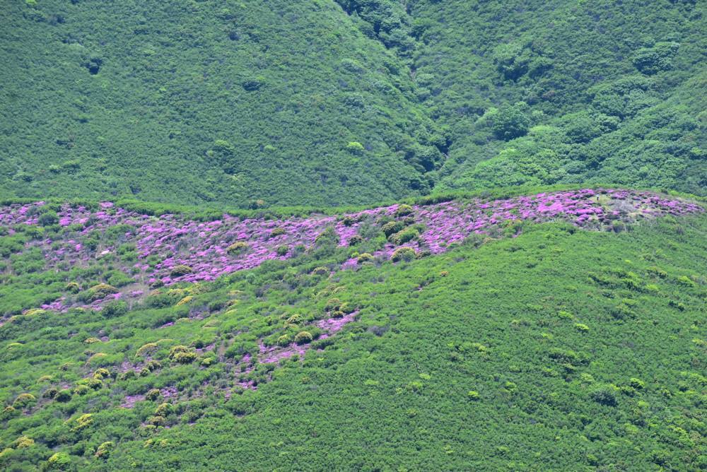 f0212511_20201993.jpg
