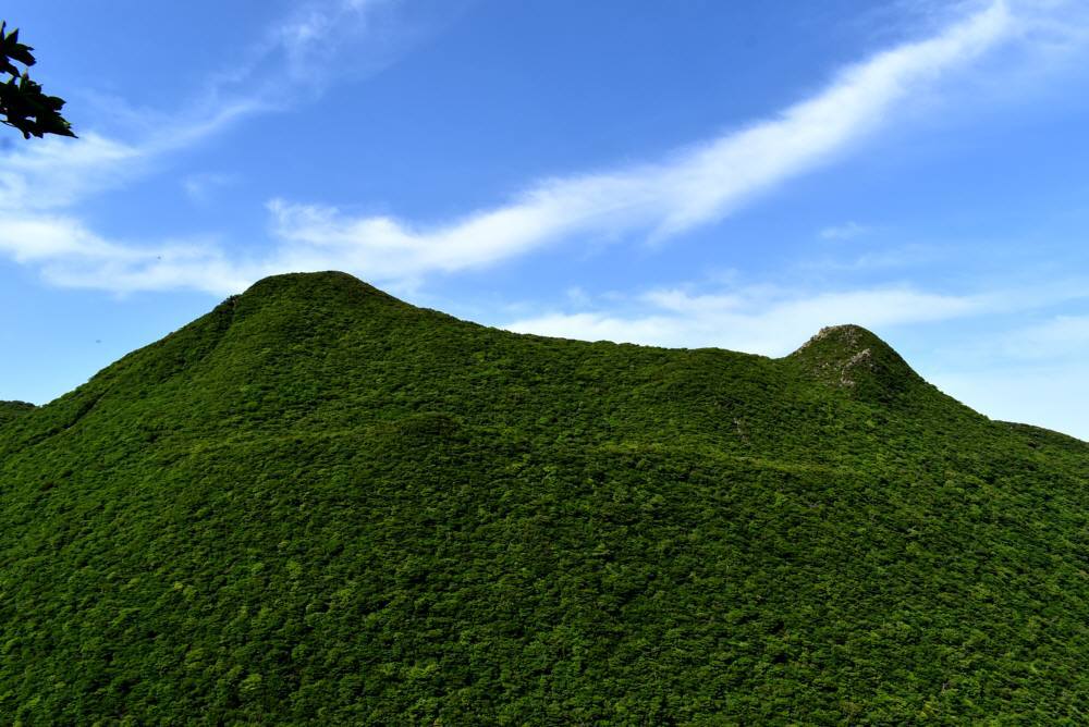 f0212511_20212504.jpg