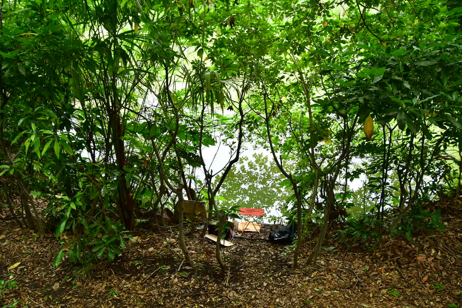 b0223512_23590875.jpeg