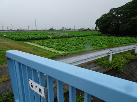 d0039312_17050871.jpg