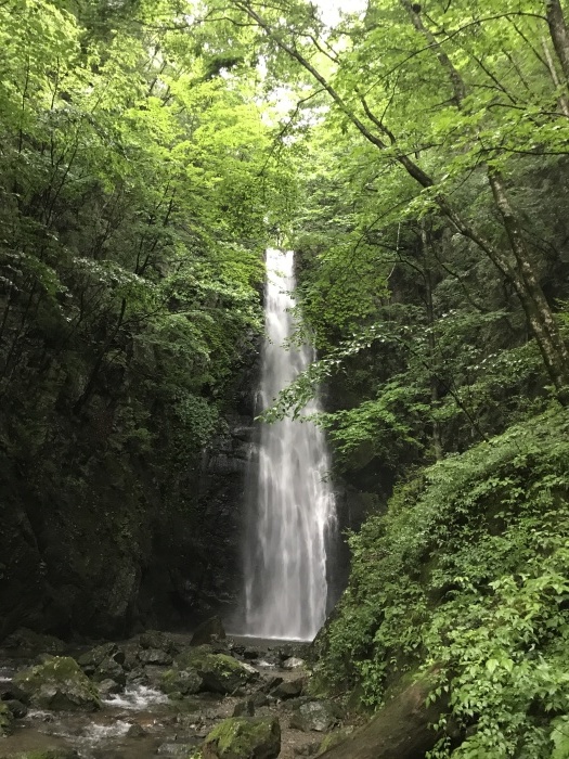 b0037220_14153448.jpg