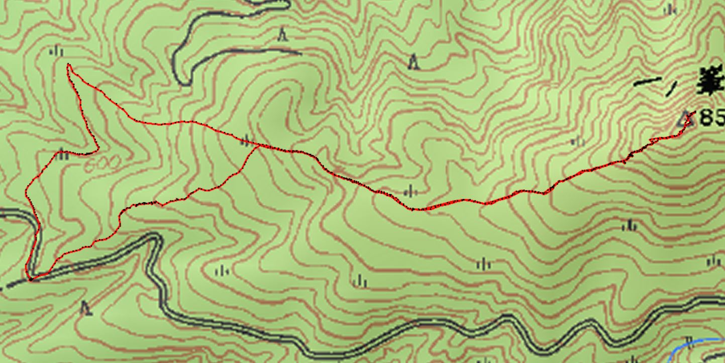 f0193521_5553791.jpg