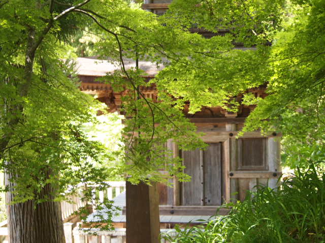 信州の旅は快適な5月中旬の頃でした。_a0214329_22213374.jpg