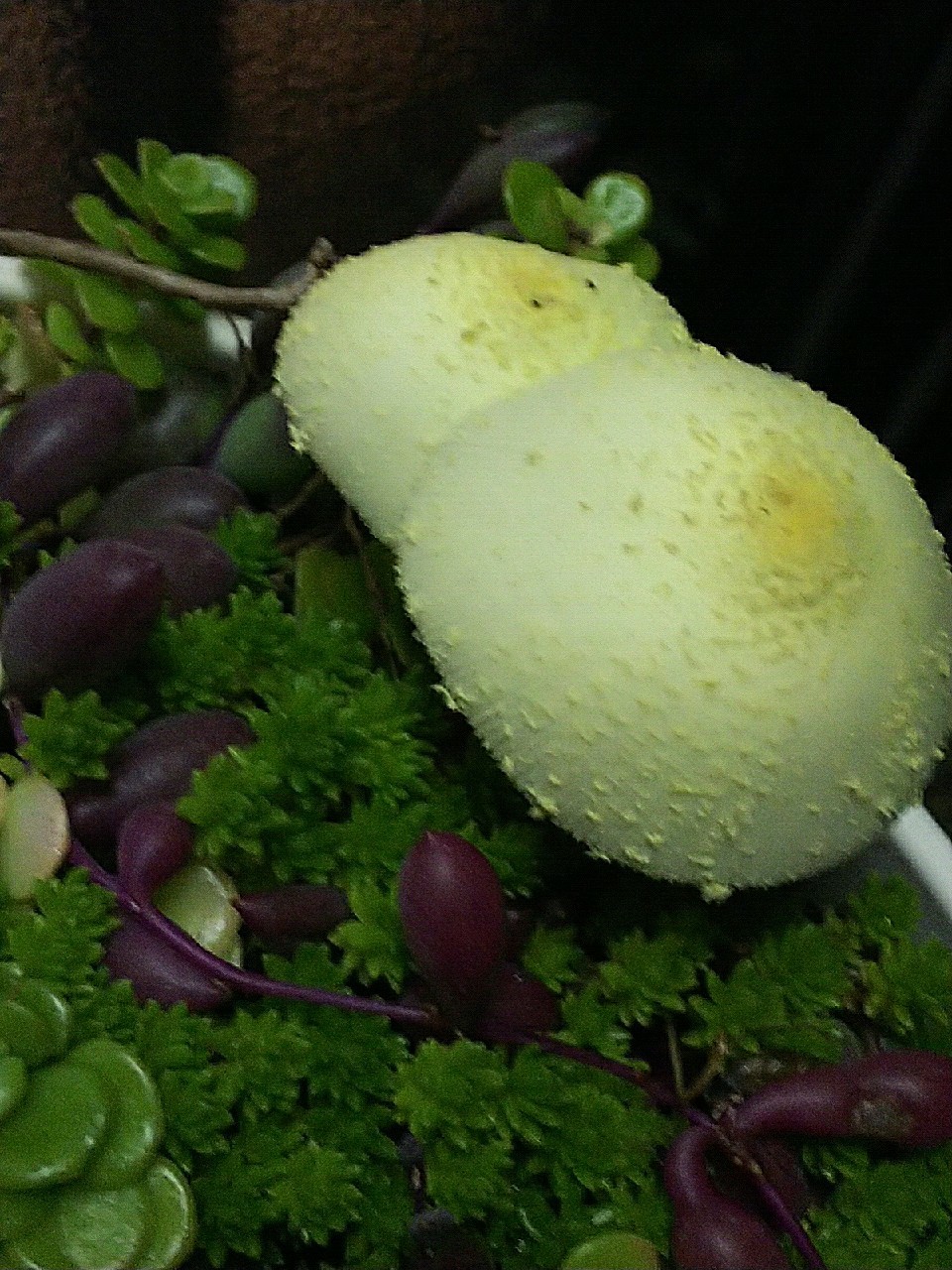b0186130_00081753.jpg